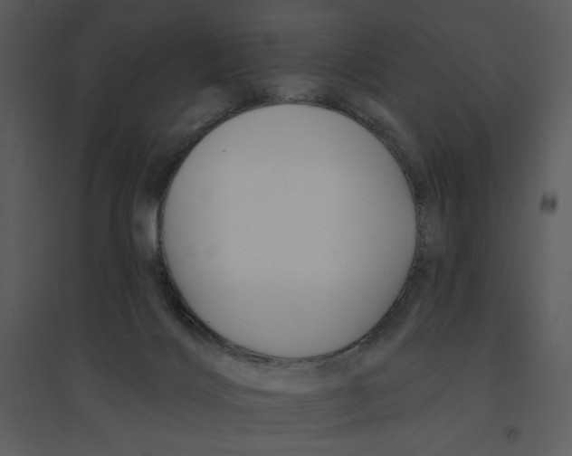 X0000095550028200801041341