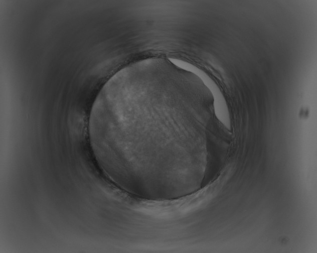 X0000095550029200801041341