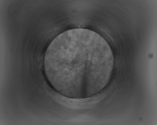 X0000095550030200801041341