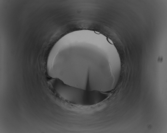 X0000095550031200801041341