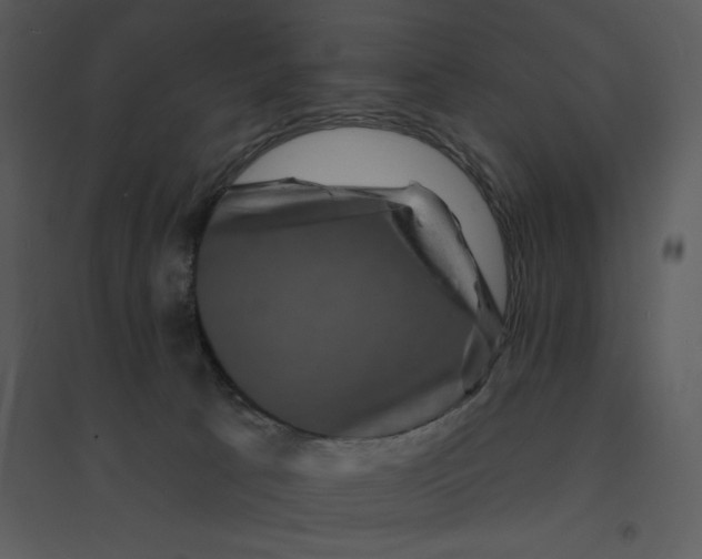 X0000095550033200801041341