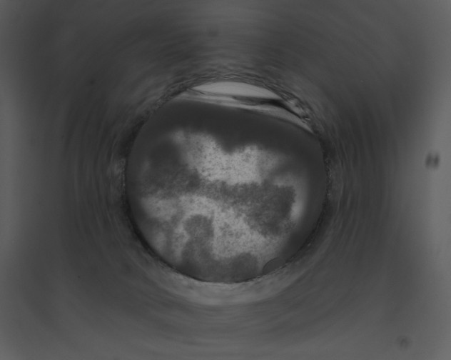 X0000095550034200801041340