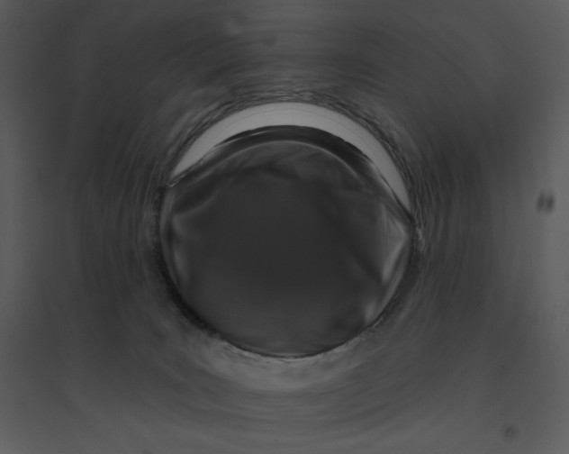 X0000095550035200801041340