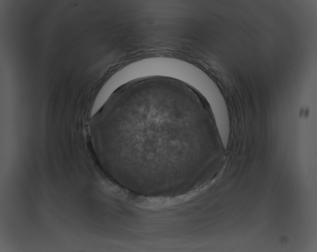 X0000095550037200801041340