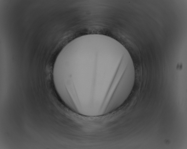 X0000095550038200801041340