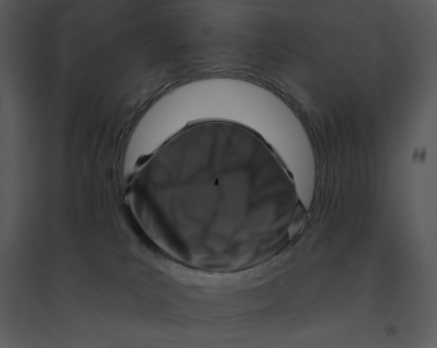 X0000095550039200801041340