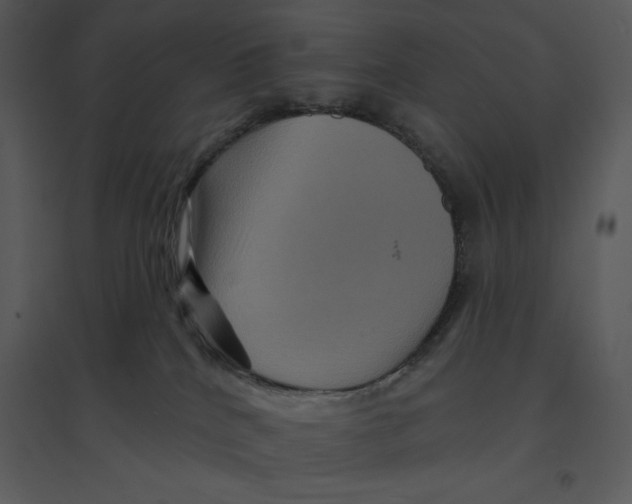 X0000095550040200801041340