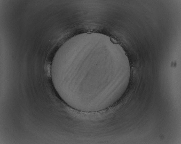 X0000095550042200801041340