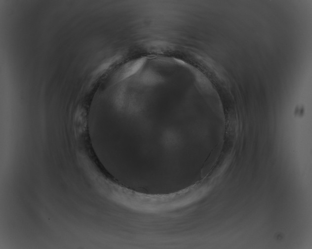 X0000095550043200801041340