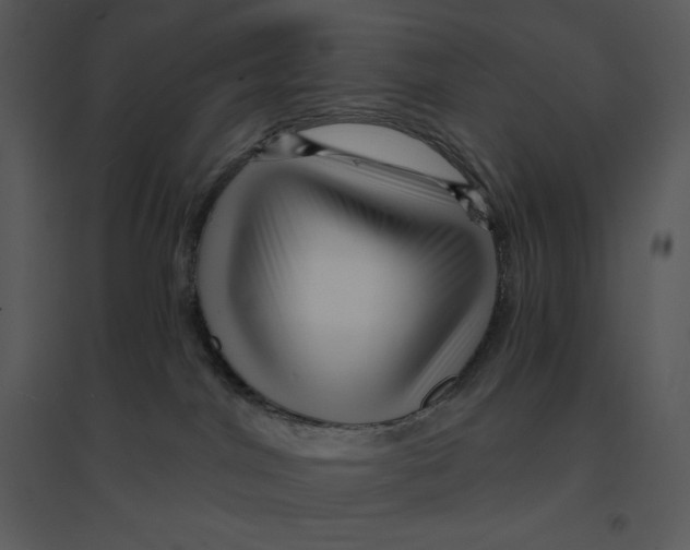 X0000095550044200801041340