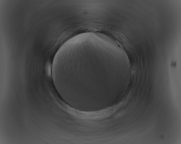 X0000095550046200801041340