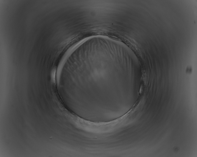 X0000095550047200801041340