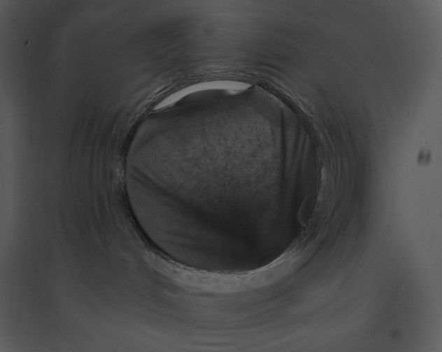 X0000095550048200801041340