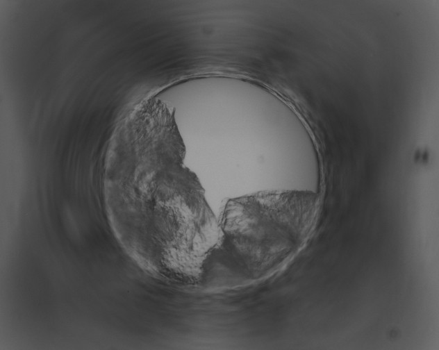 X0000095550049200801041340