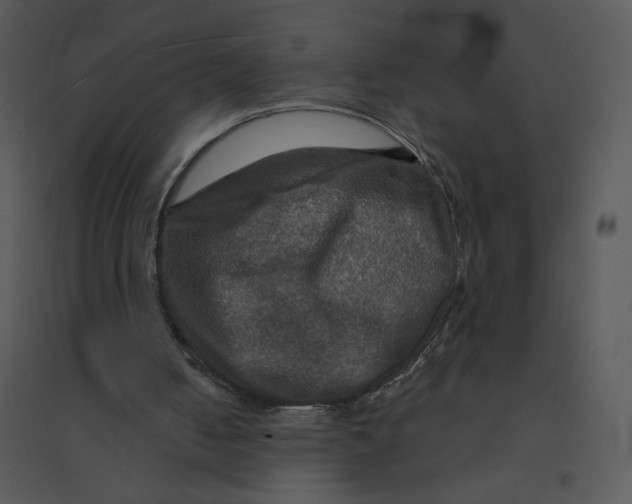 X0000095550050200801041340