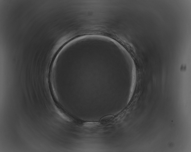 X0000095550051200801041340