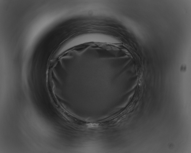 X0000095550052200801041340