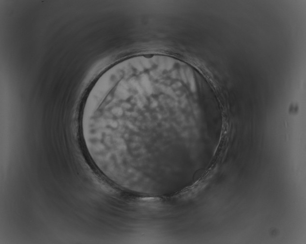 X0000095550053200801041340