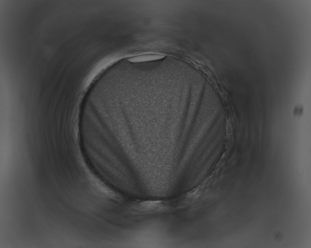 X0000095550054200801041340