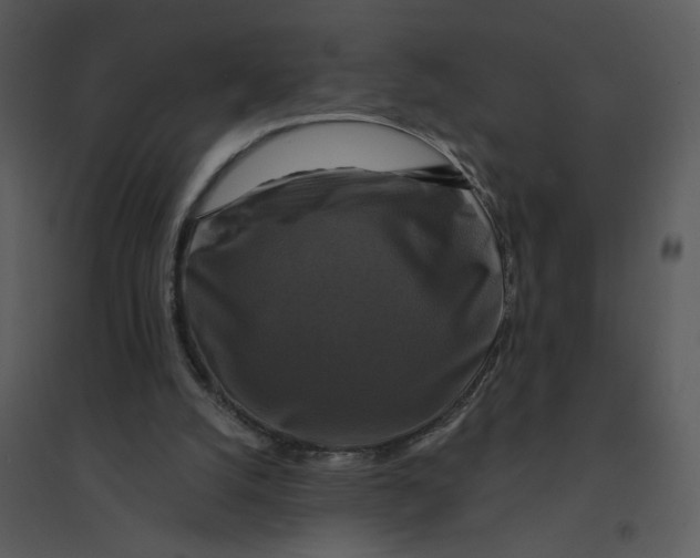 X0000095550056200801041340