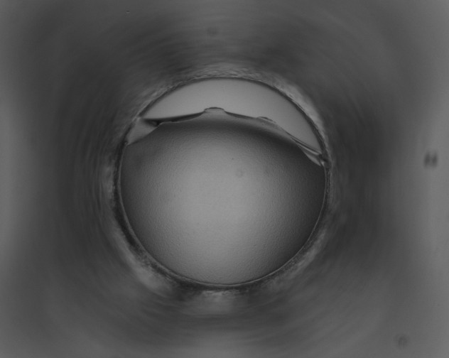 X0000095550057200801041340