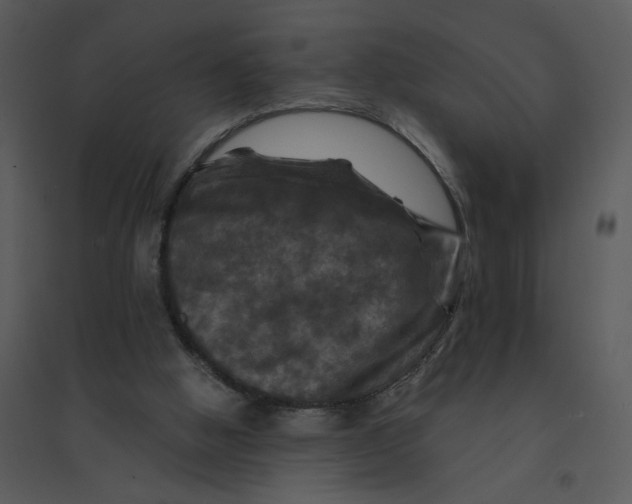 X0000095550058200801041340