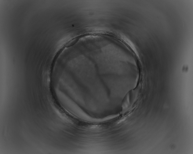 X0000095550059200801041340