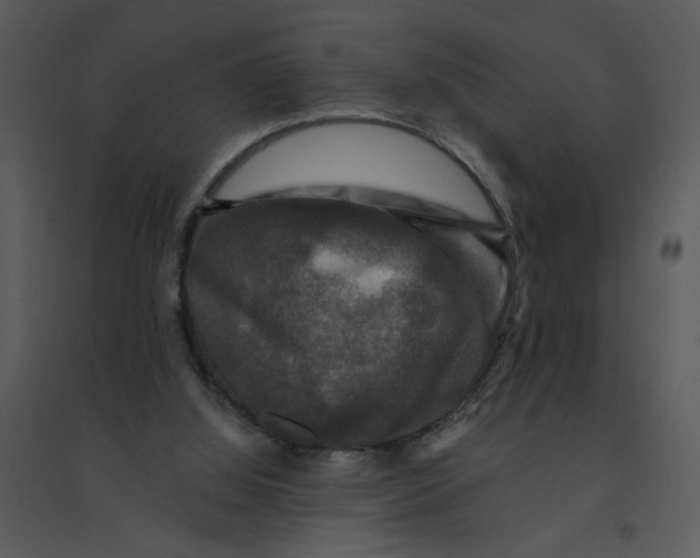 X0000095550060200801041340