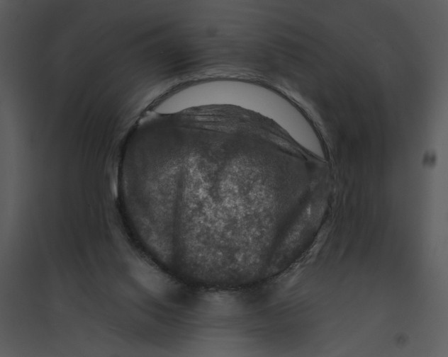 X0000095550062200801041340