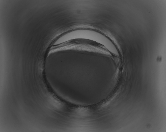 X0000095550063200801041340