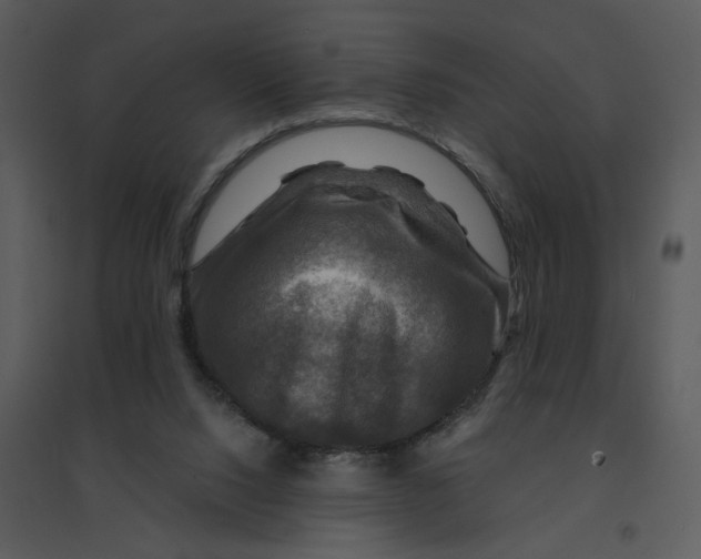 X0000095550064200801041340