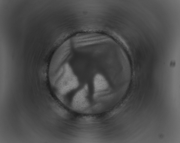 X0000095550065200801041340