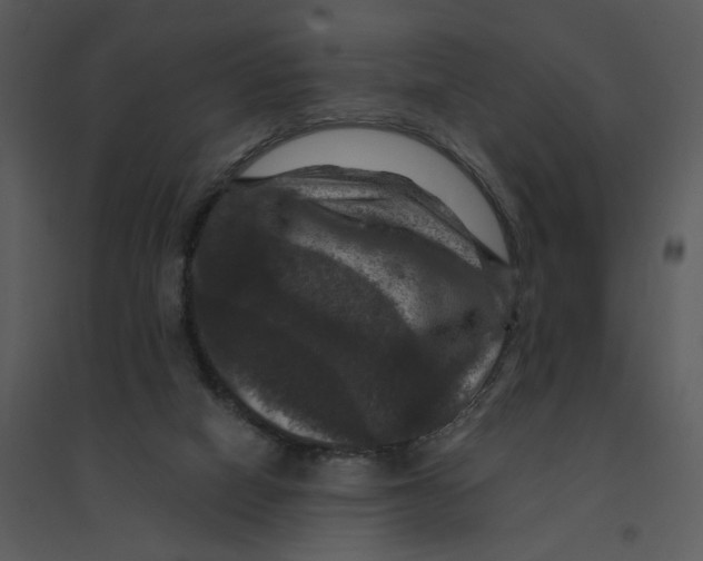 X0000095550066200801041340