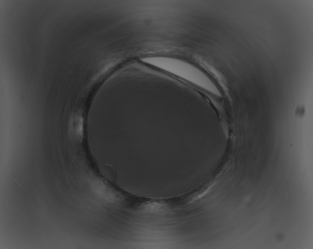 X0000095550067200801041340