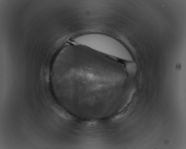 X0000095550068200801041340