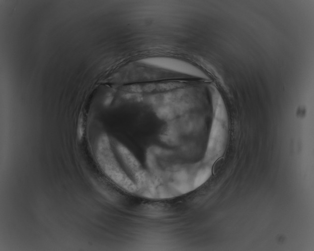 X0000095550069200801041340