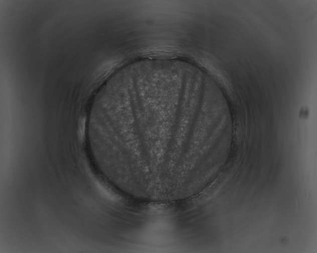 X0000095550070200801041340