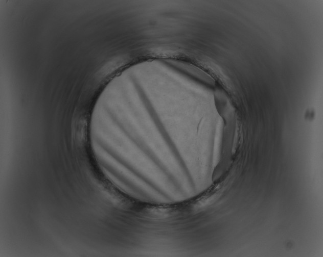 X0000095550071200801041340