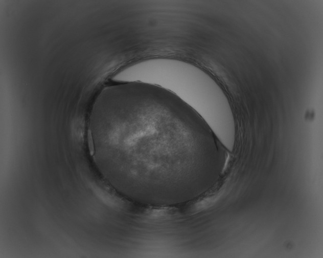 X0000095550072200801041340