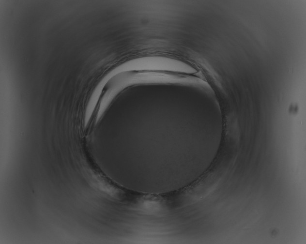 X0000095550073200801041340