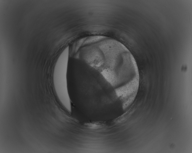 X0000095550074200801041340