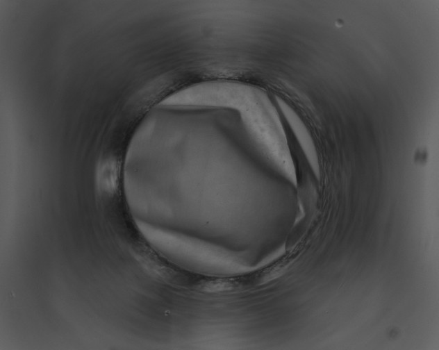 X0000095550075200801041340