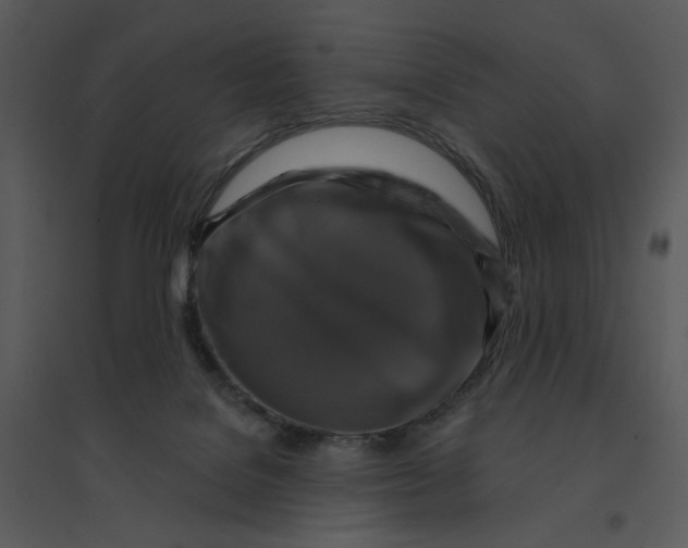 X0000095550076200801041340