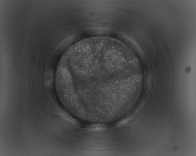 X0000095550077200801041340