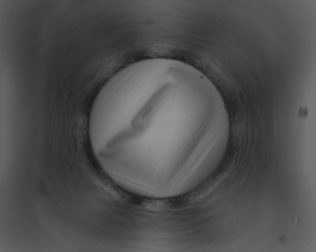 X0000095550079200801041340