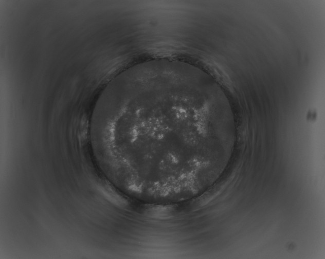 X0000095550081200801041340