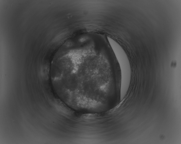 X0000095550082200801041340