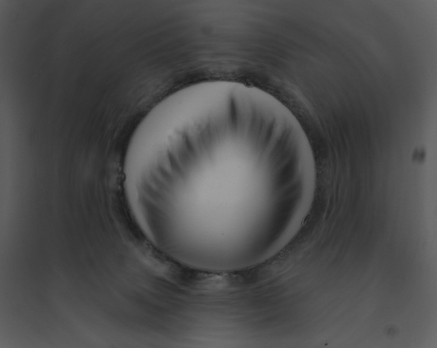 X0000095550083200801041340