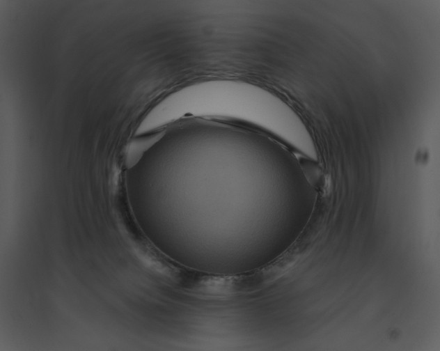 X0000095550084200801041340