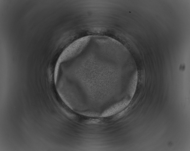 X0000095550086200801041340